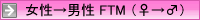 FTM�i�������j