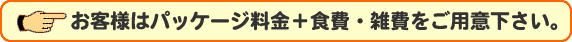 ���q�l�̓p�b�P�[�W����+�H��E�G������p�Ӊ������B