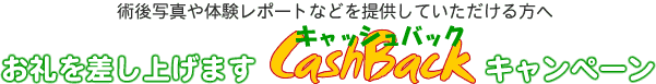 �p��ʐ^��̌����|�[�g�Ȃǂ�񋟂��Ă�����������͓��ʊ���������񋟂ł��܂��B